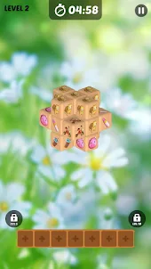 Unblock ZEN Cube 3D