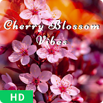 Cover Image of Download Cherry Blossom Wallpaper  APK