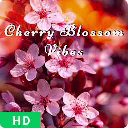 Icon image Cherry Blossom Wallpaper