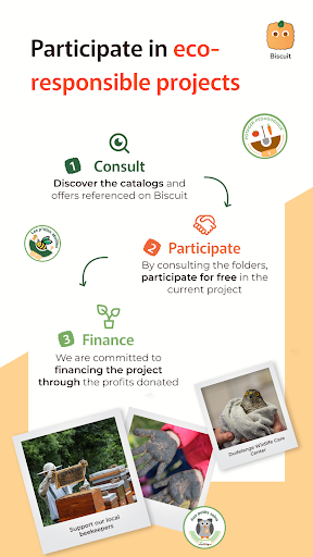 Biscuit - Offers and Folders