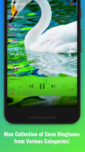 Swan Sounds Screen 2