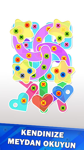 Screw Puzzle ekran görüntüsü