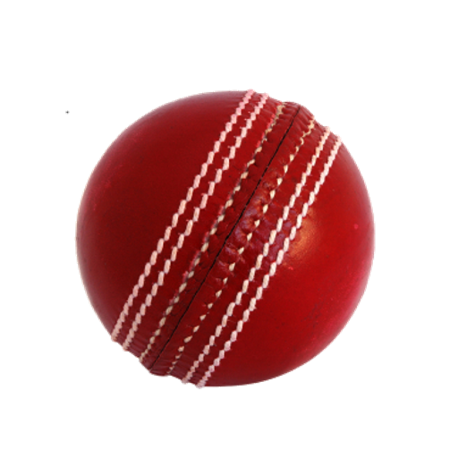 Cricket Simulator  Icon