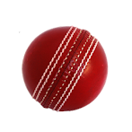 Cricket Simulator
