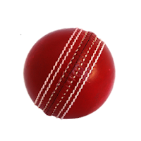 Cricket Simulator