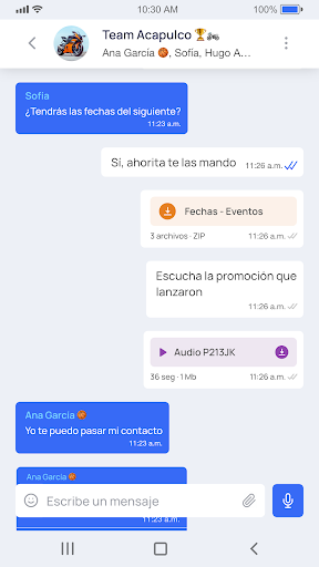 Pigion Chat Screen 3