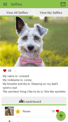 Banks Veterinary Service Screen 2