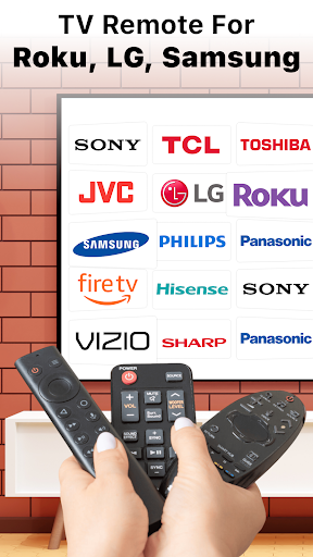 Universal TV Remote Control