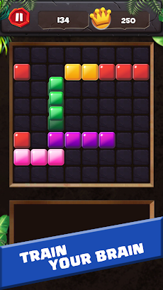 Block Puzzle Bricksのおすすめ画像3