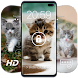 Kittens Wallpapers & Lock Screen - Androidアプリ