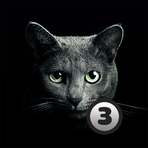 Find A Cat 3 1.5.4 Icon