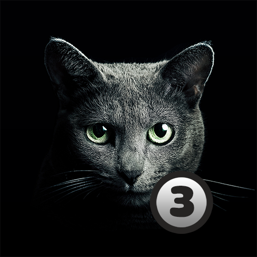 Find A Cat 3  Icon