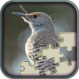 Hidden Jigsaw: Winter Birding icon