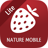 Wild Berries and Herbs 2 LITE icon