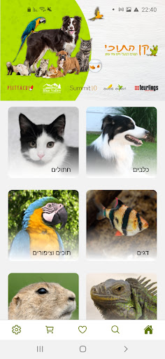Android application קן התוכי screenshort