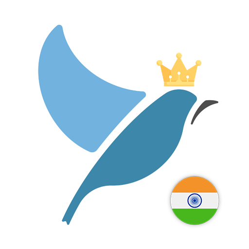 Hindi Language Tests logo