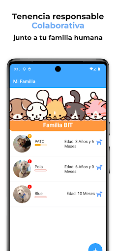 Bitpet App Screen 2