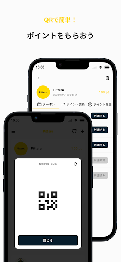 Pitteru Screen 2
