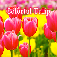 Colorful Tulip Theme