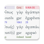 Hebrew/Greek Interlinear Bible Apk
