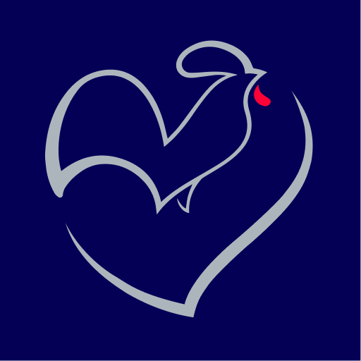 France Channel logo