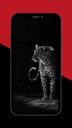 Leopard Wallpaper Screen 2