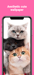 cat wallpaper 4k - Apps on Google Play