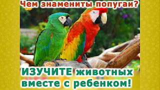 Животные для детей и малышей! - Screenshot 3