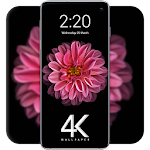 Cover Image of ダウンロード 4k WallPaper - HD Wallpapers & Backgrounds 2020 1.0.5 APK