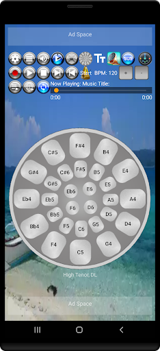 Musical Steel Drums Screenshot 1 - AppWisp.com