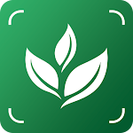 Cover Image of 下载 FREE Plant Identification - PlantFinder 1.1 APK