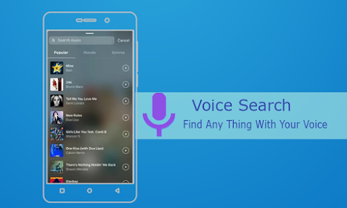 Voice Search – Voice Assistant Unknown