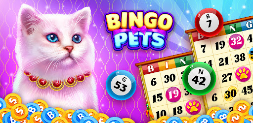 Pet Bingo: Bingo Game
