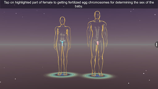 Android application Sex Determination in Human screenshort
