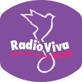 Radio Viva 95.3 fm icon