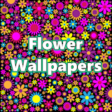 Flower Wallpapers HD Offline icon