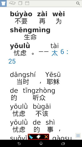 Pinyin Web & EPUB 2.12.16 screenshots 1