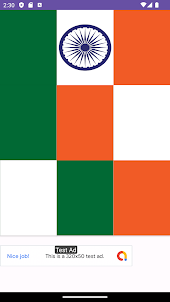 India Flag Puzzle