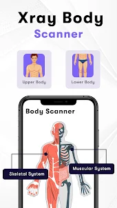 Xray Body Scanner