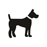Dogs Quiz: Guess and Learn the Dogs Breeds