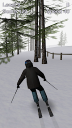 Alpine Ski III