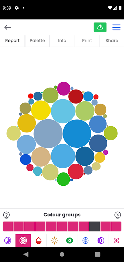 Android application Year of Color screenshort