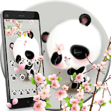 Cuteness Shy Panda Theme icon