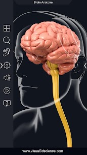 Brain Anatomy Pro. Apk Download 4