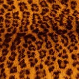 Leopard Print Wallpapers icon