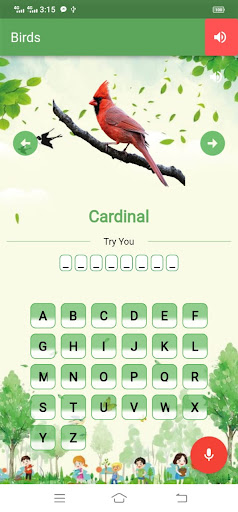 Bird Names, Spelling & Quiz Screen 2