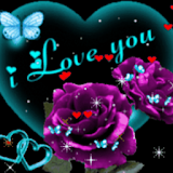 Purple Rose Blue Butterfly Liv icon