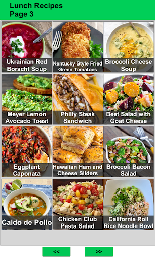 100 Lunch Recipes Idea Screen 3