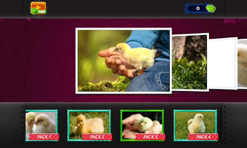 Chicks Jigsaw - Puzzles Games