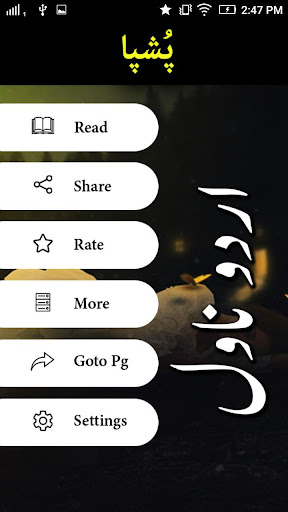 Pushpa Novel by Shahzaib Butt Screen 2